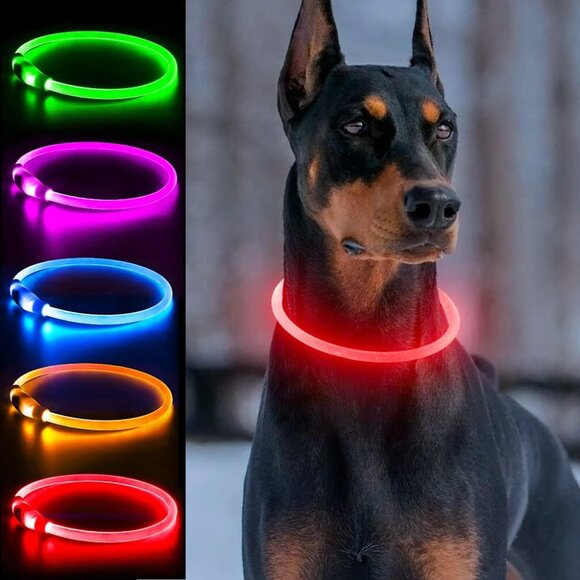 BOGO RED Rechargeable LED Dog Collar or Harness Get your pet seen when walking - Picture 1 of 3